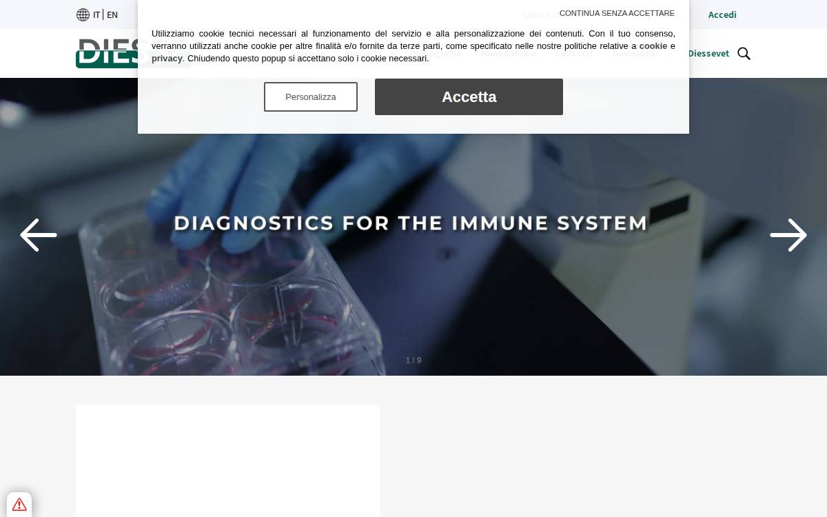 Diesse website preview