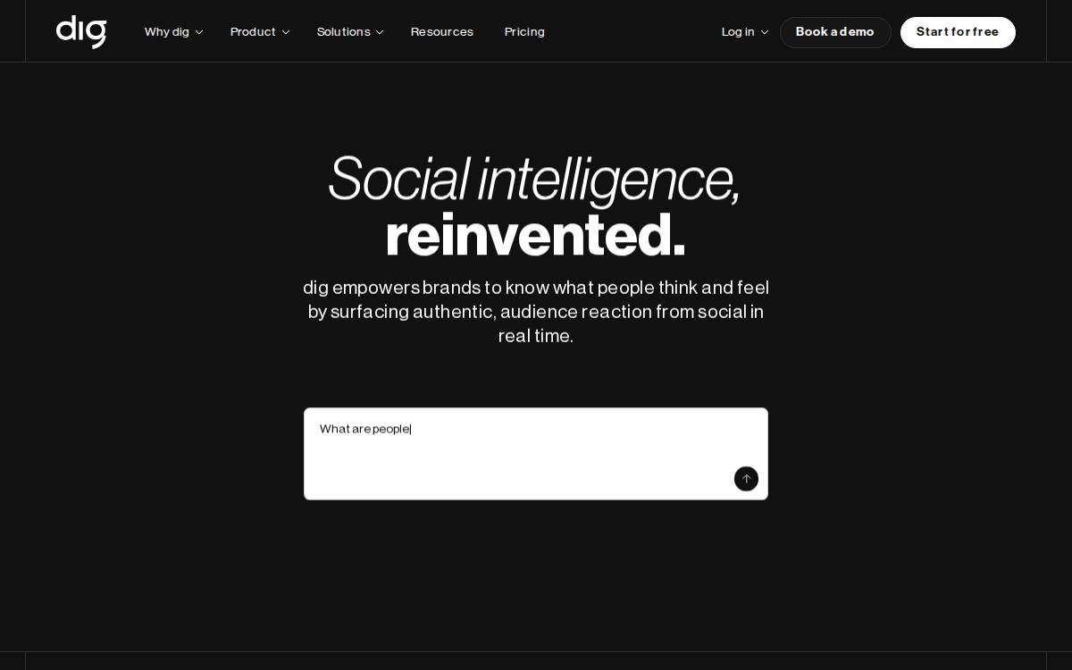 Dig website preview