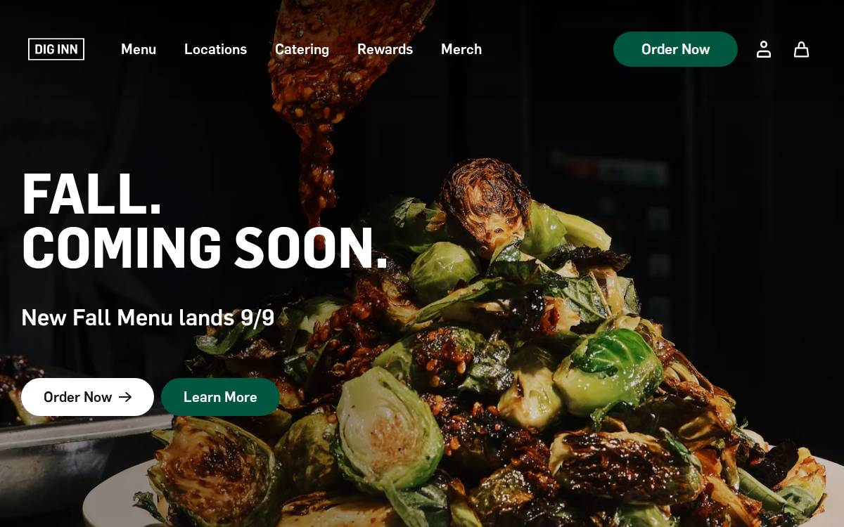 Diginn website preview