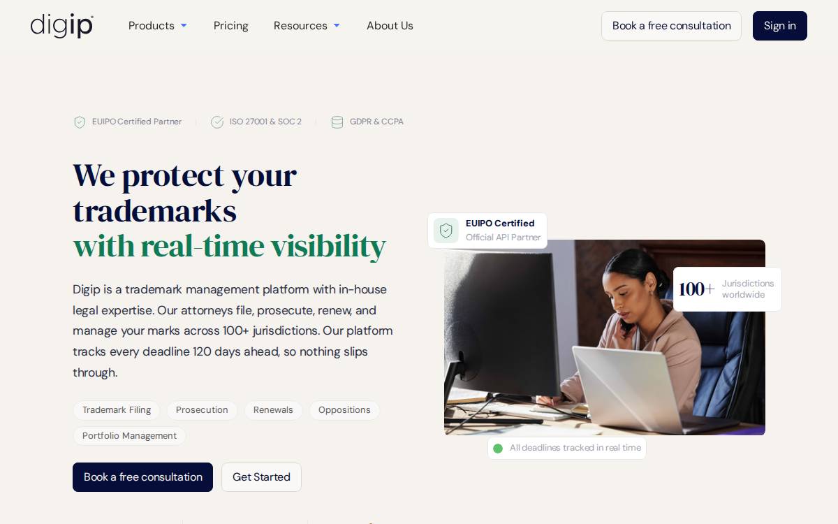 Digip website preview