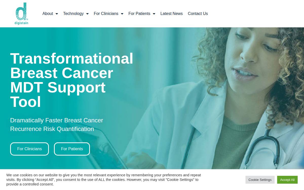Digistain website preview