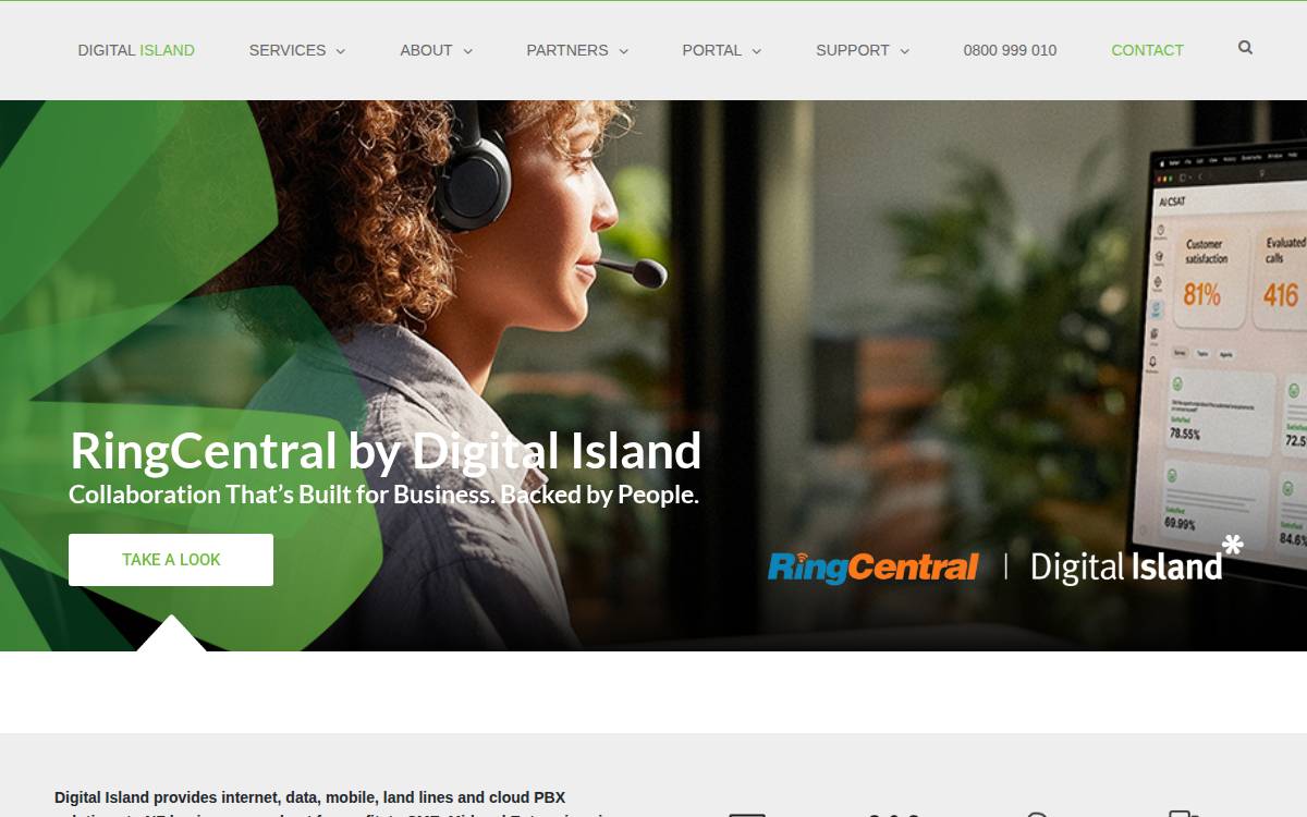 Digital Island website preview
