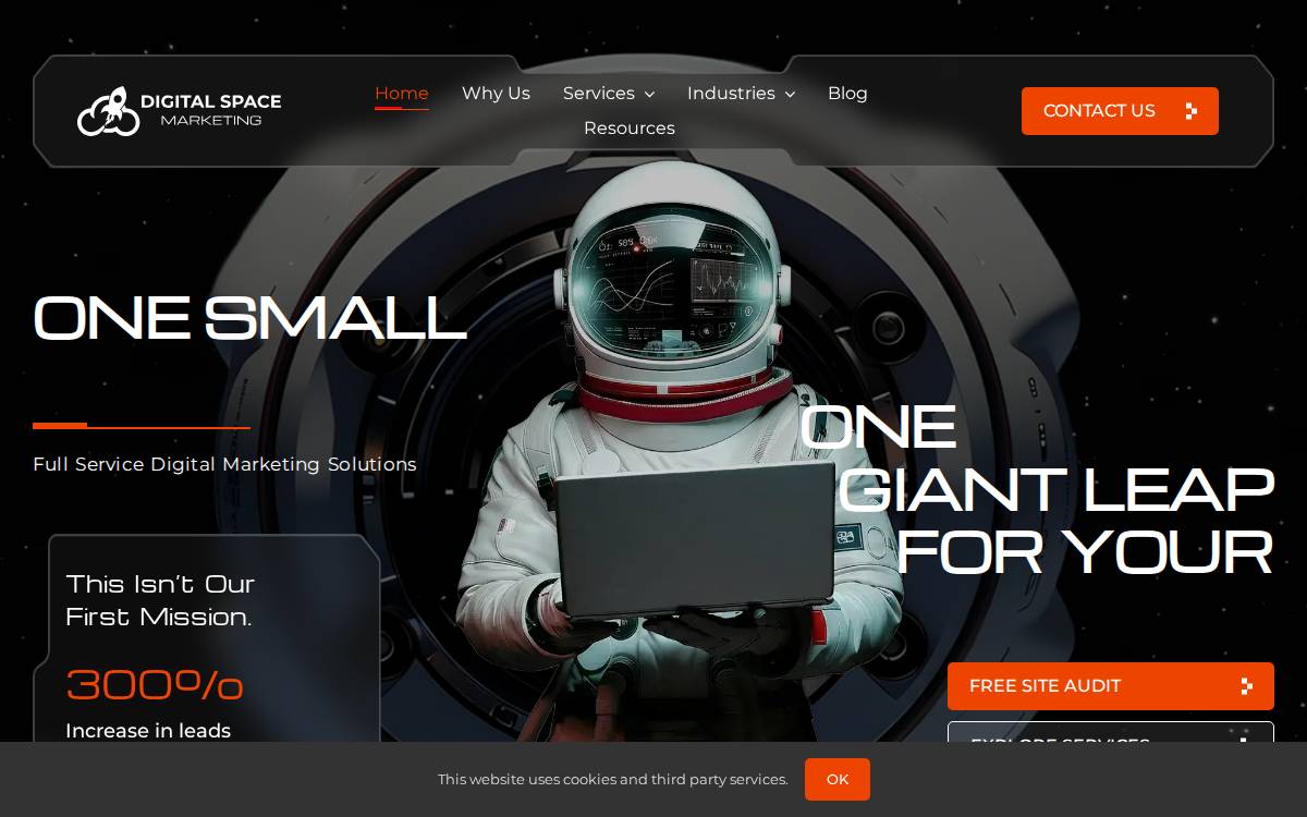Digital Space Marketing website preview