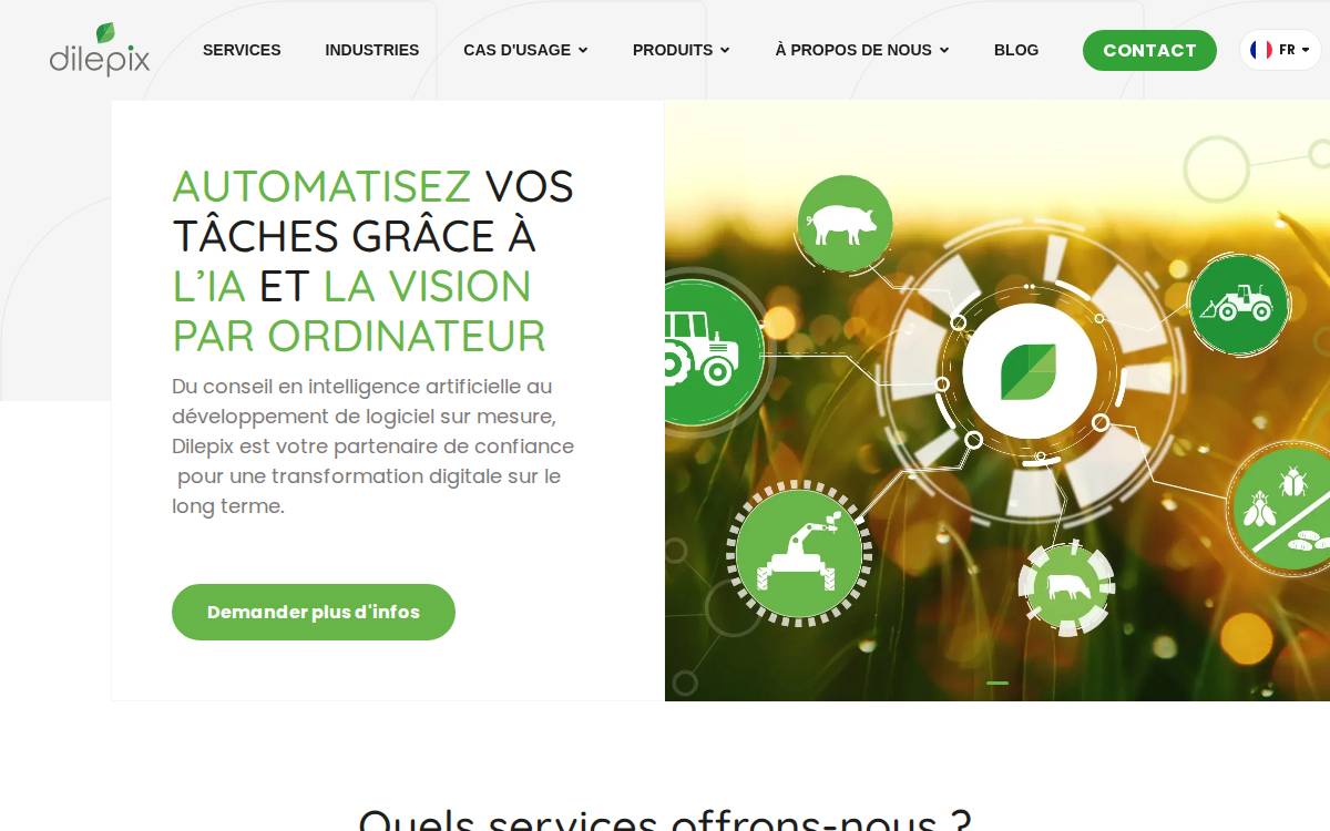 DILEPIX website preview