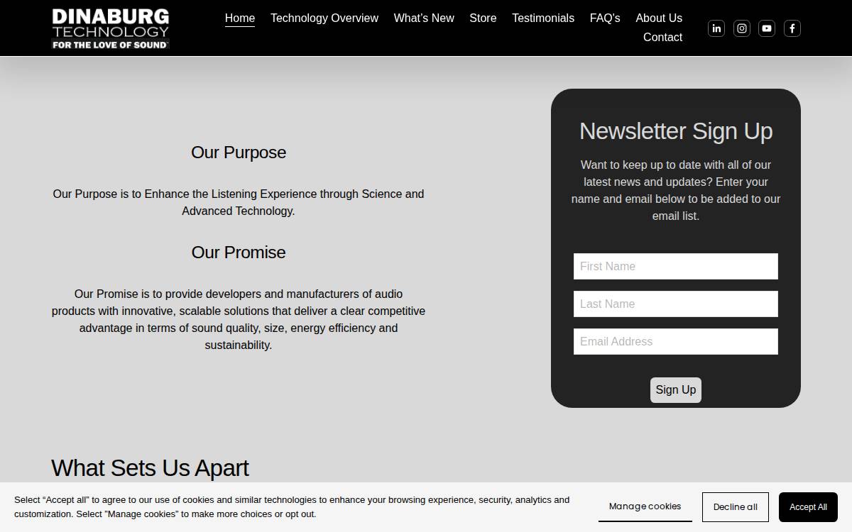 Dinaburg Technology Website website preview