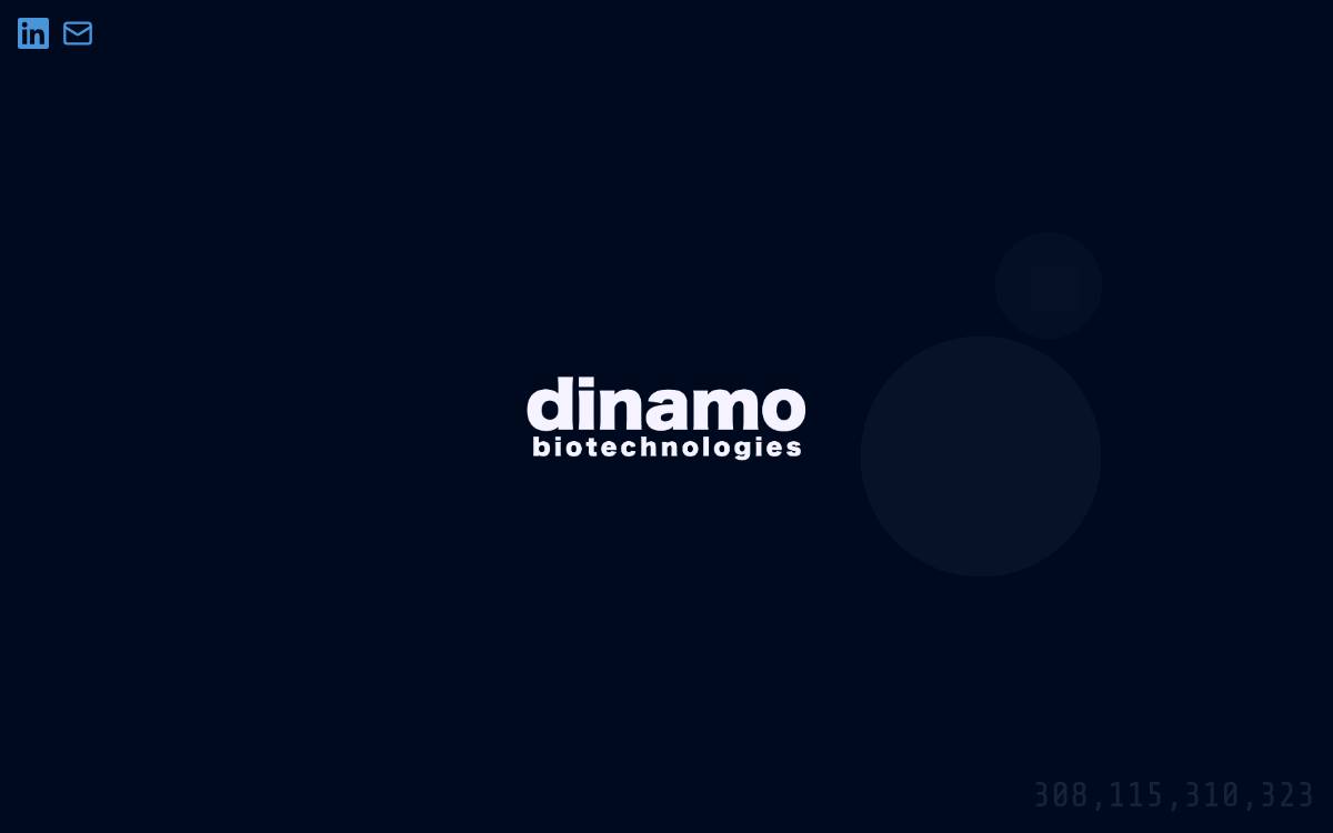 Dinamo website preview