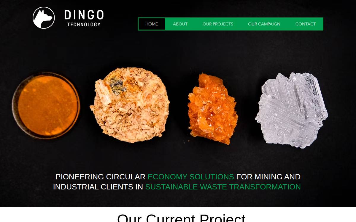 Dingo Technology website preview