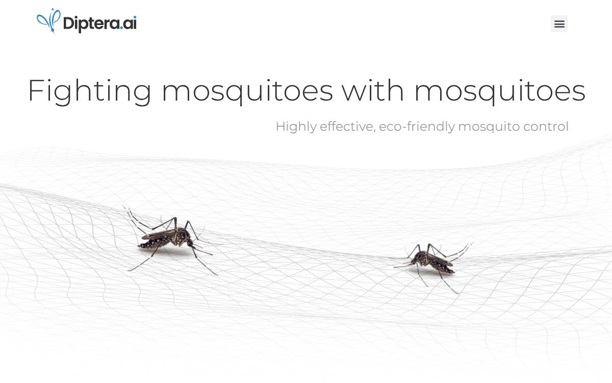 Diptera website preview