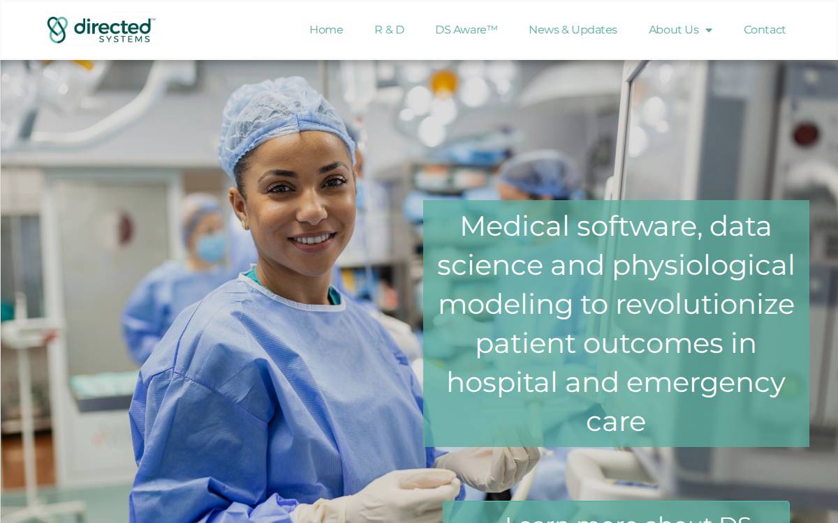 Directed Systems website preview