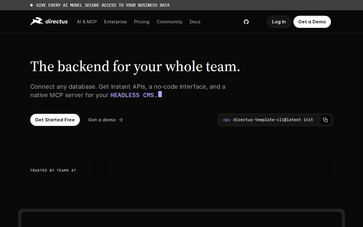Directus website preview