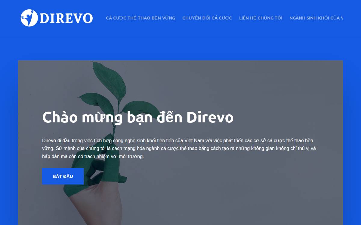 Direvo website preview