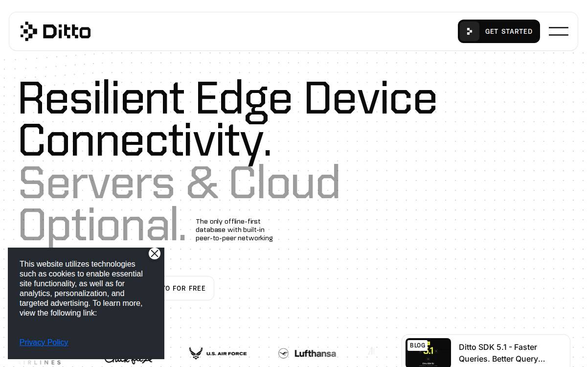 Ditto website preview