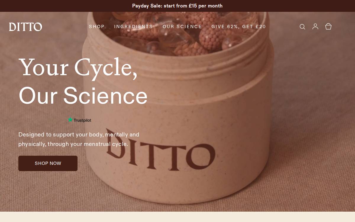 Ditto Website website preview
