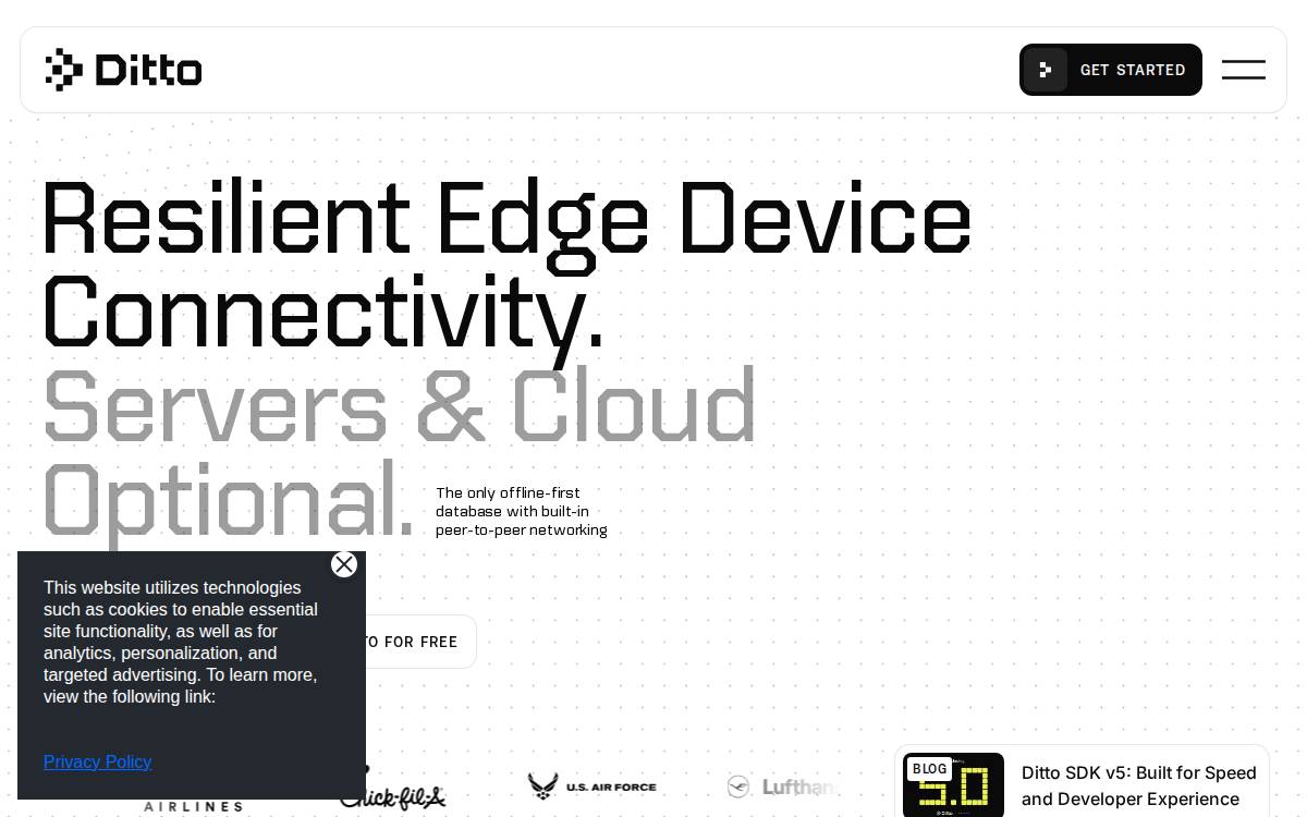 Ditto website preview