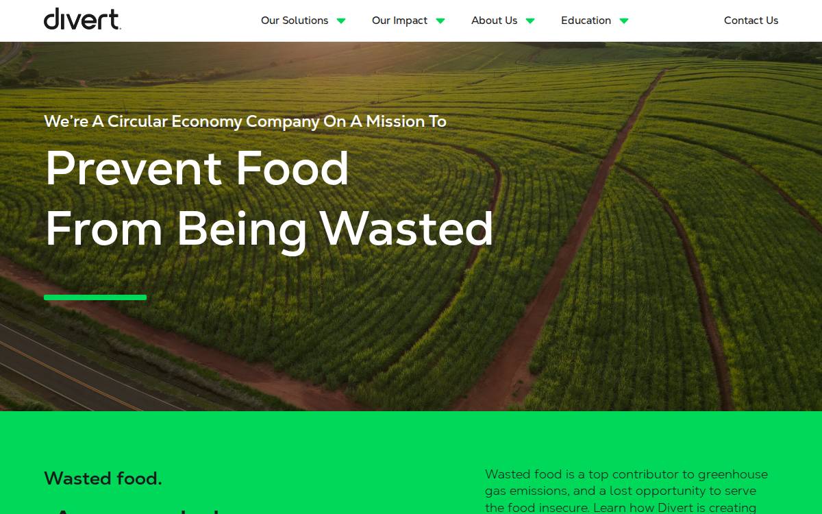 Divert website preview