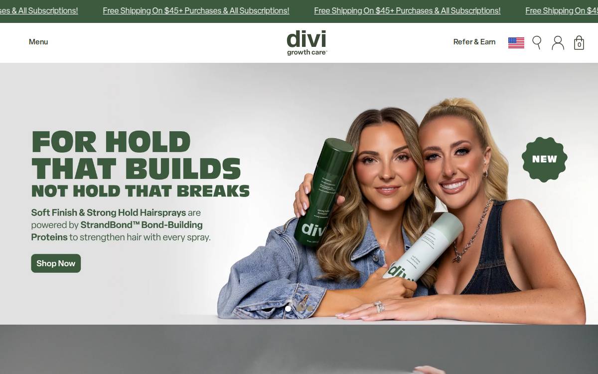 Divi website preview