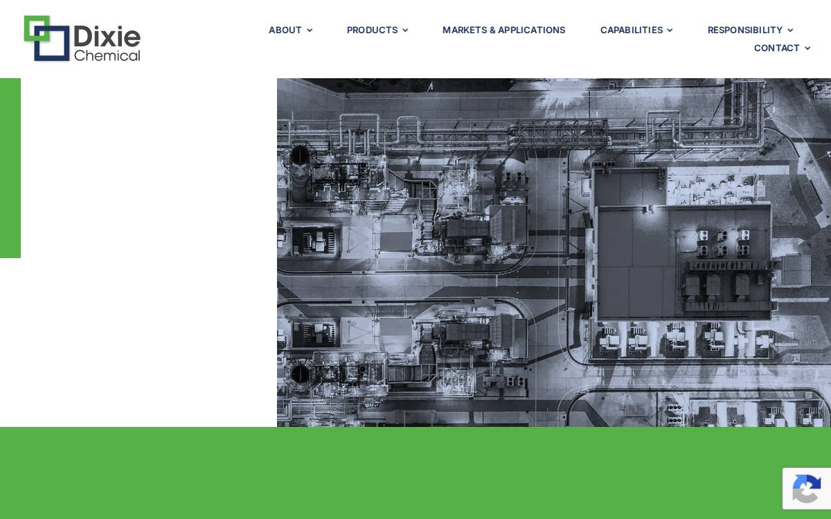 Dixiechemical website preview