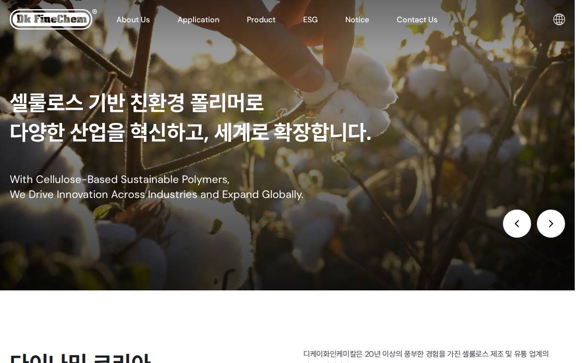 DK Finechemical website preview