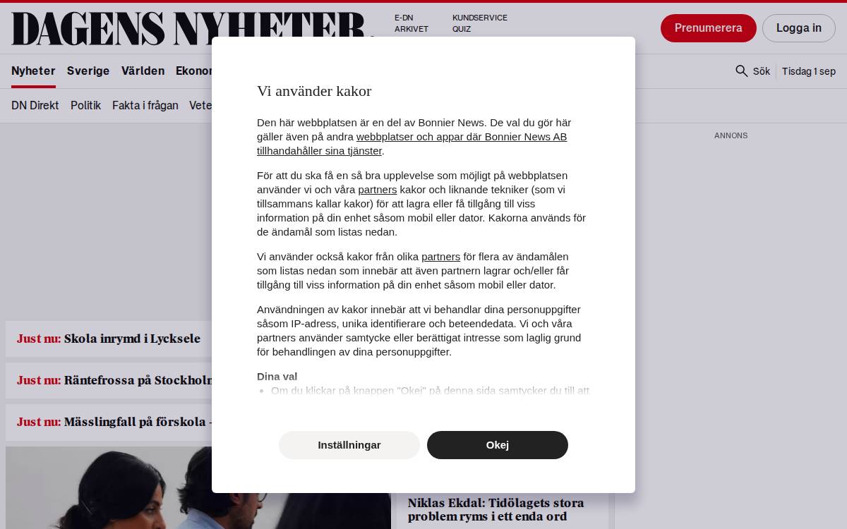Dn website preview