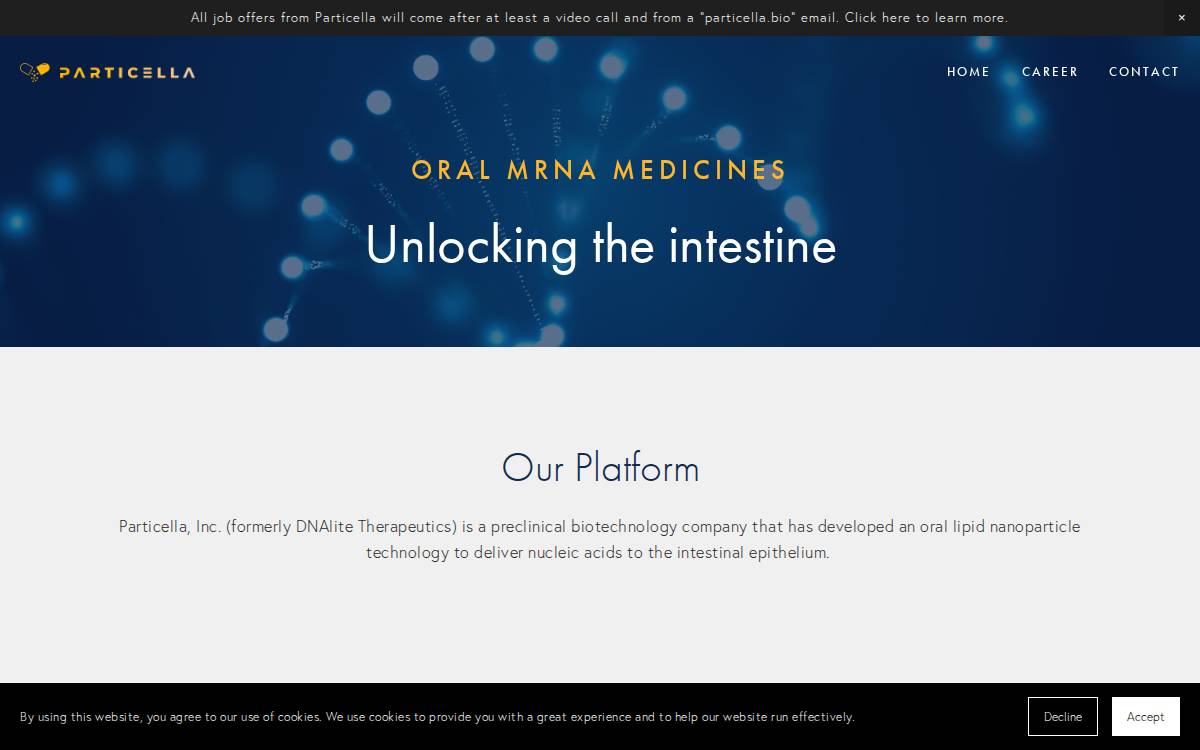 DNA Lite website preview