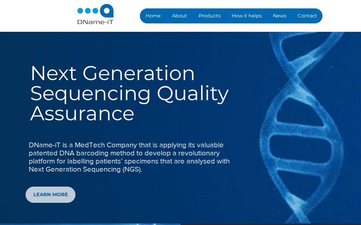 Dname-iT website preview