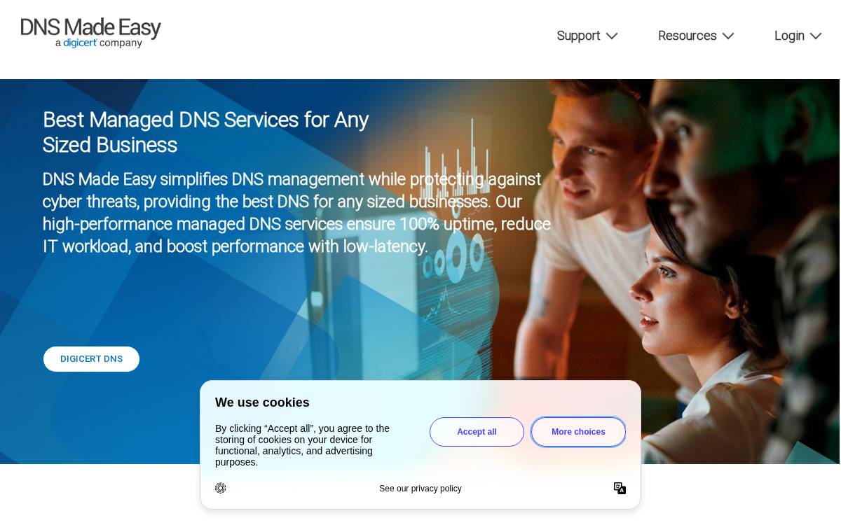 Dnsmadeeasy website preview