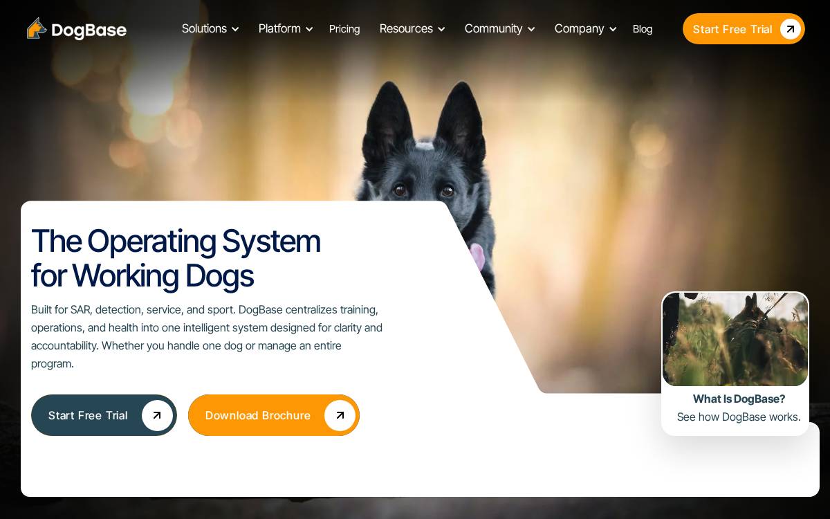 DogBase website preview