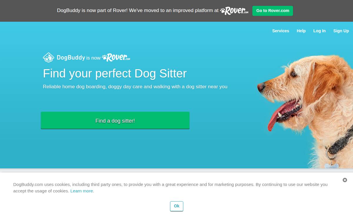 DogBuddy website preview