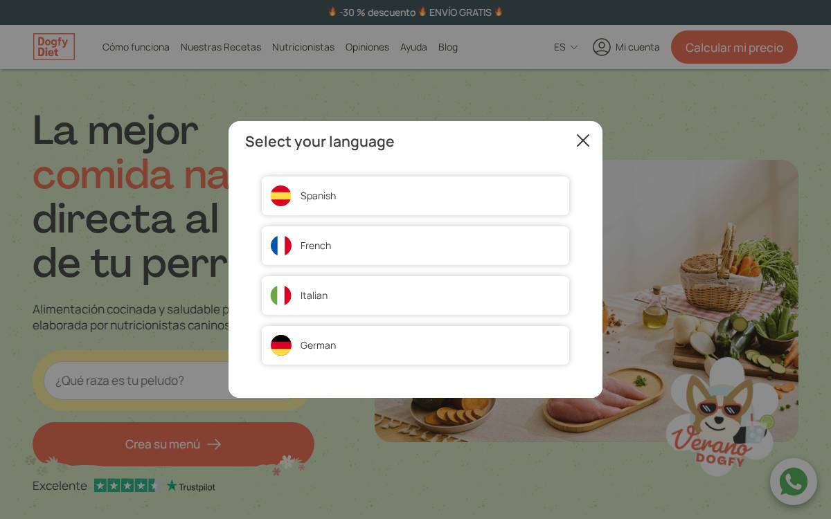 Dogfydiet website preview