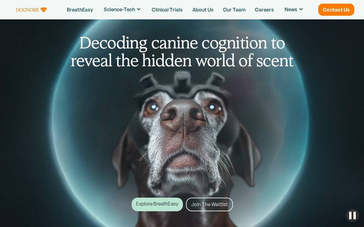 Dognosis website preview