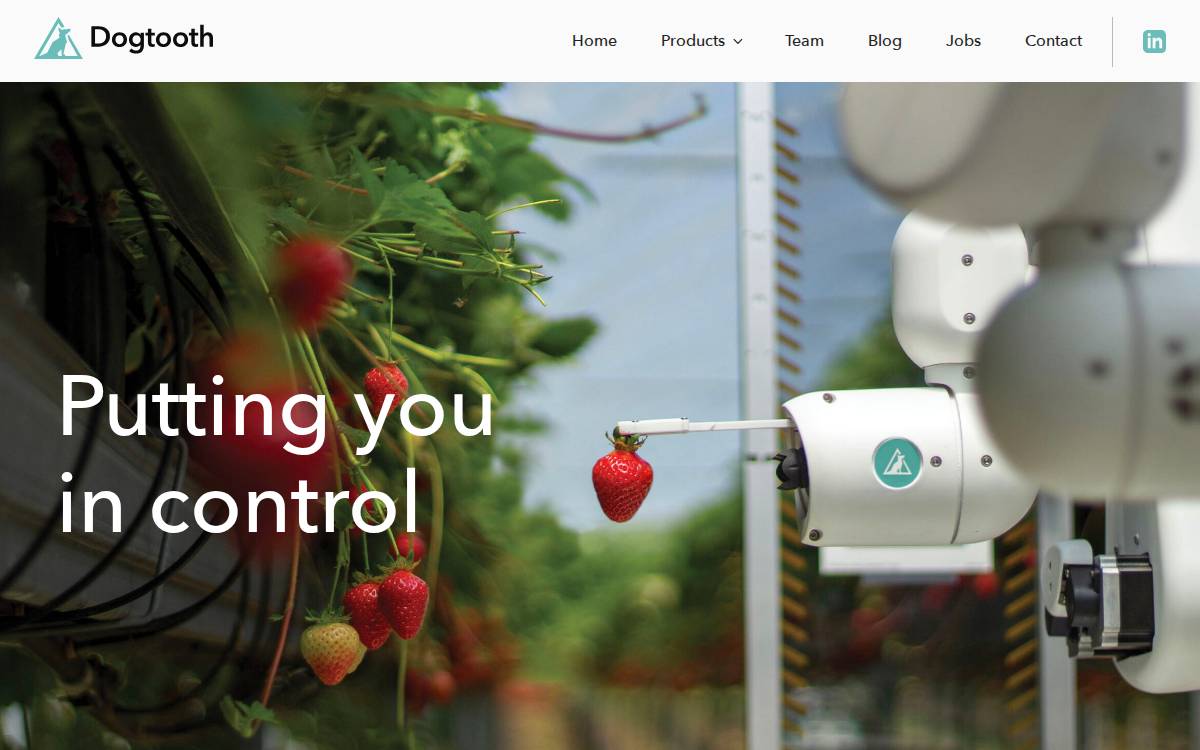 Dogtooth Technologies website preview