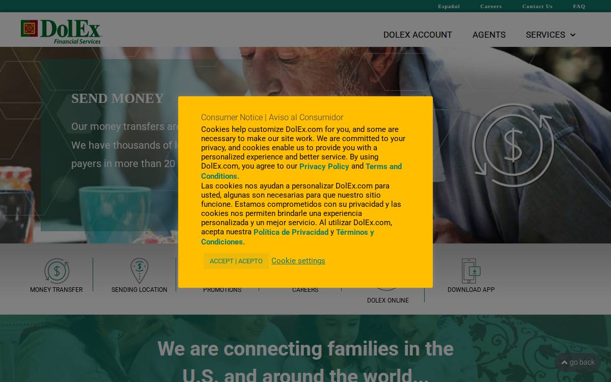 DolEx website preview