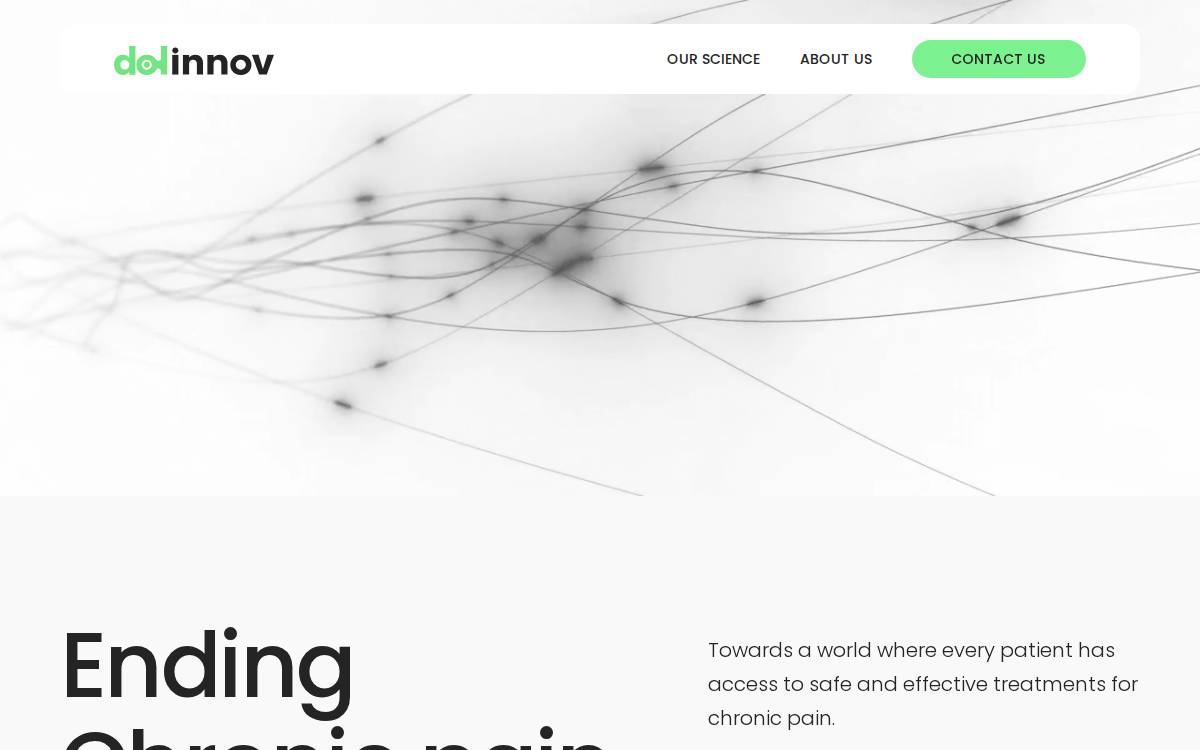 Dolinnov website preview