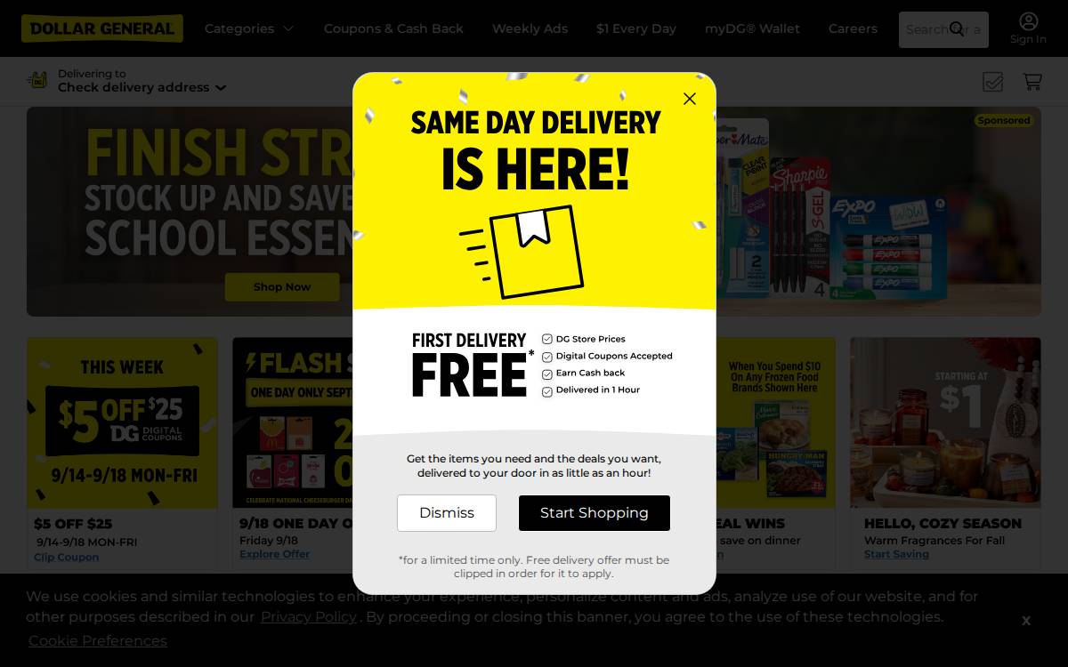 Dollargeneral website preview