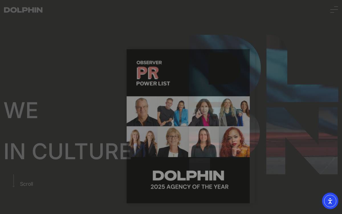 Dolphin Digital Media website preview