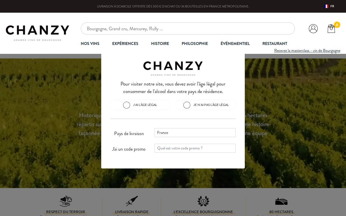 Domaine Chanzy website preview