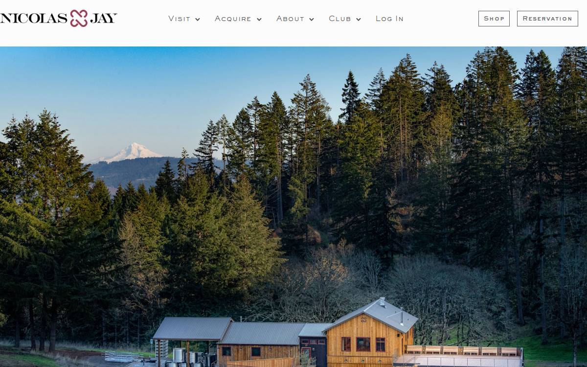 Domaine Nicolas Jay website preview