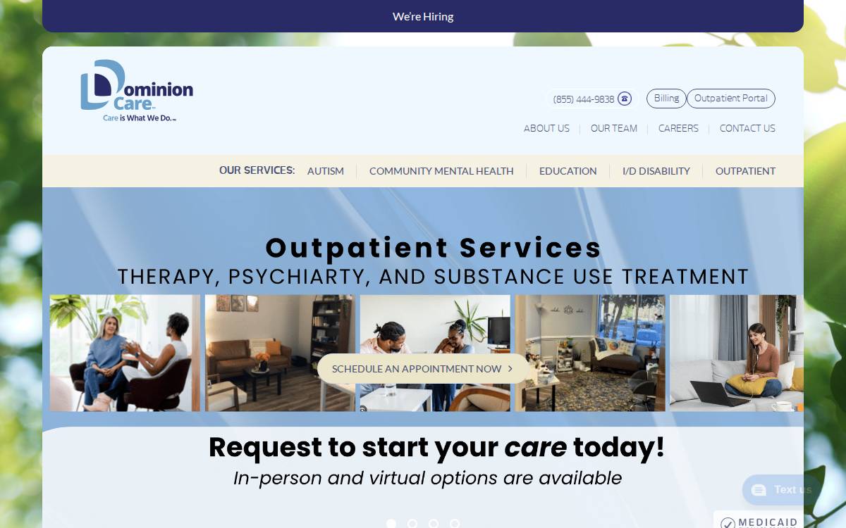 Dominion Care website preview