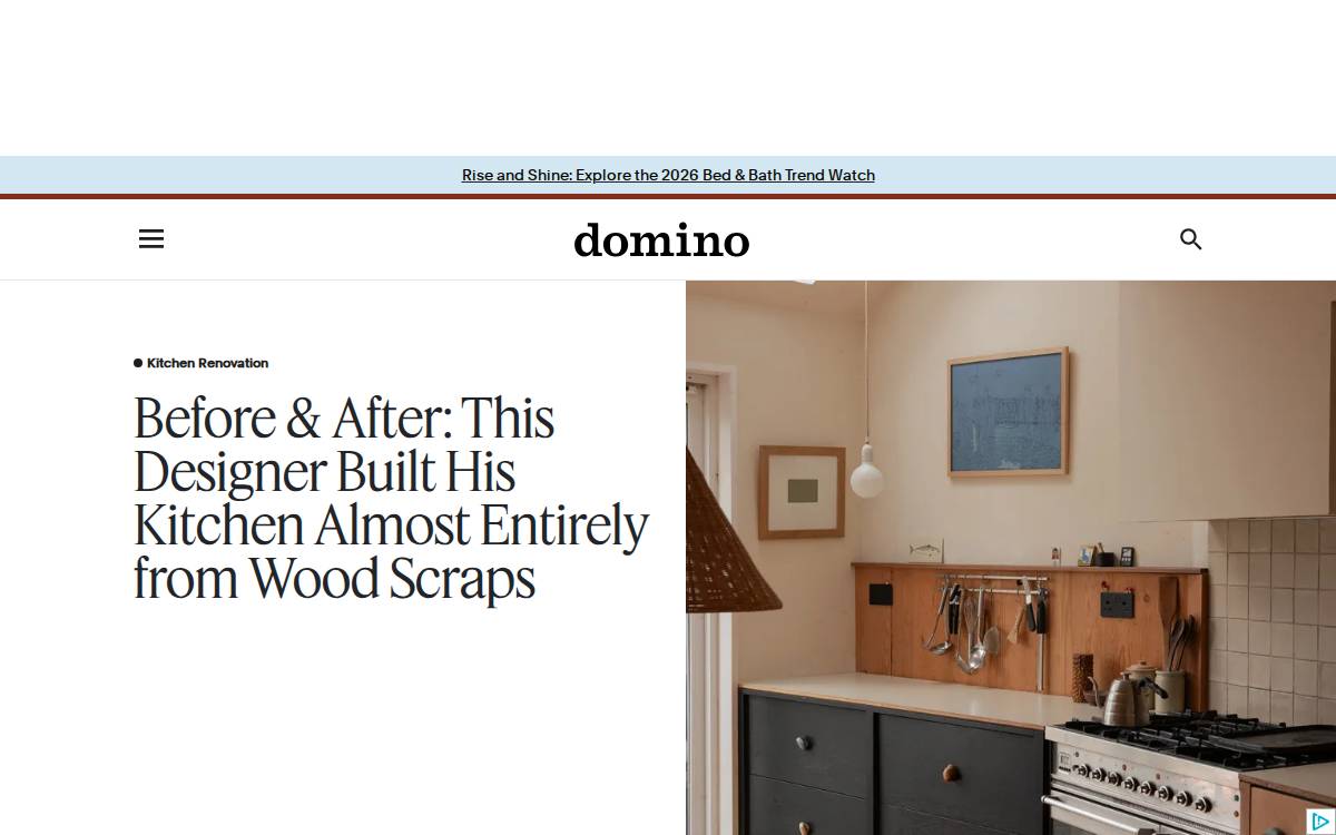 Domino website preview