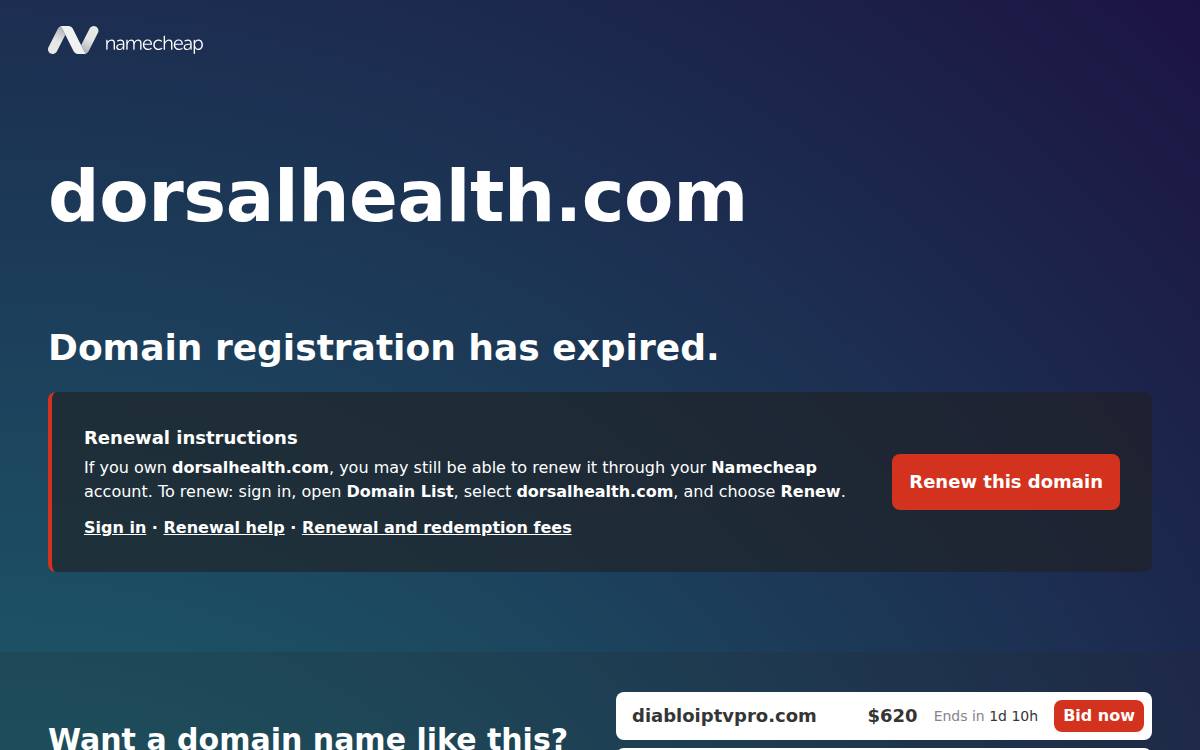 Dorsal website preview