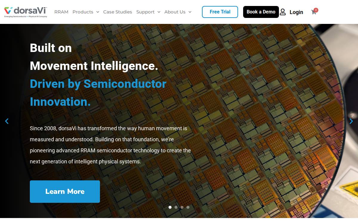 DorsaVi website preview