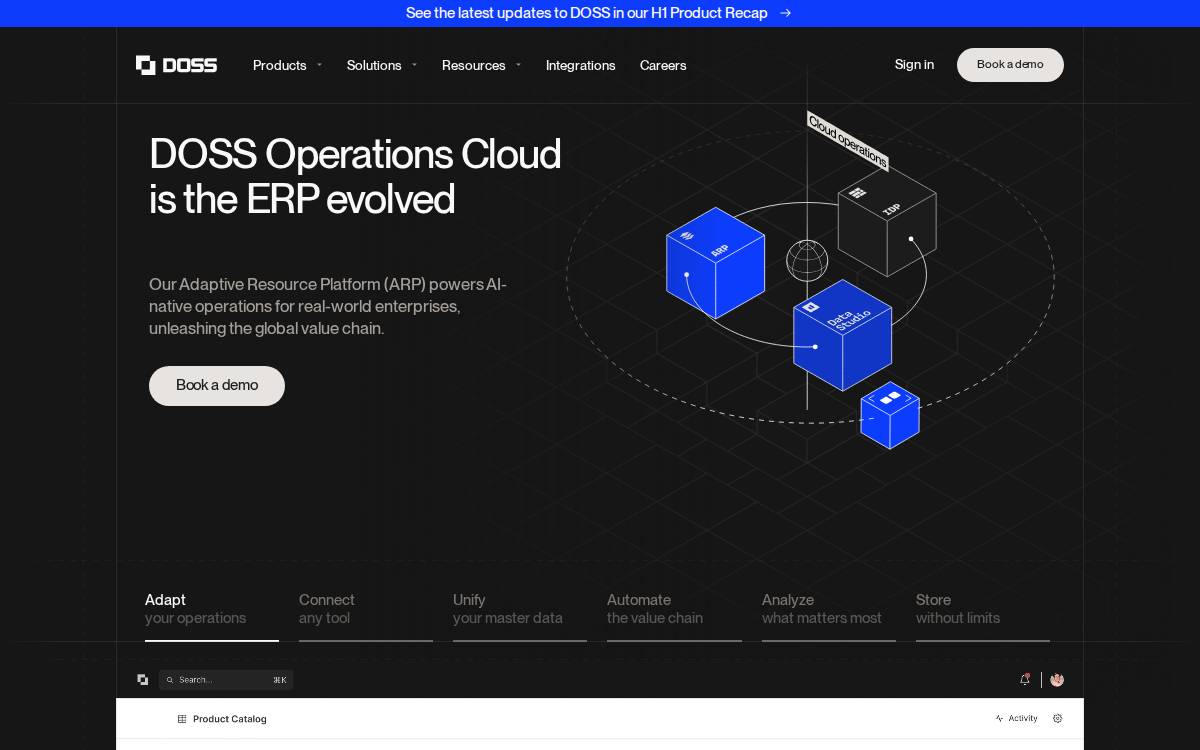 Doss website preview