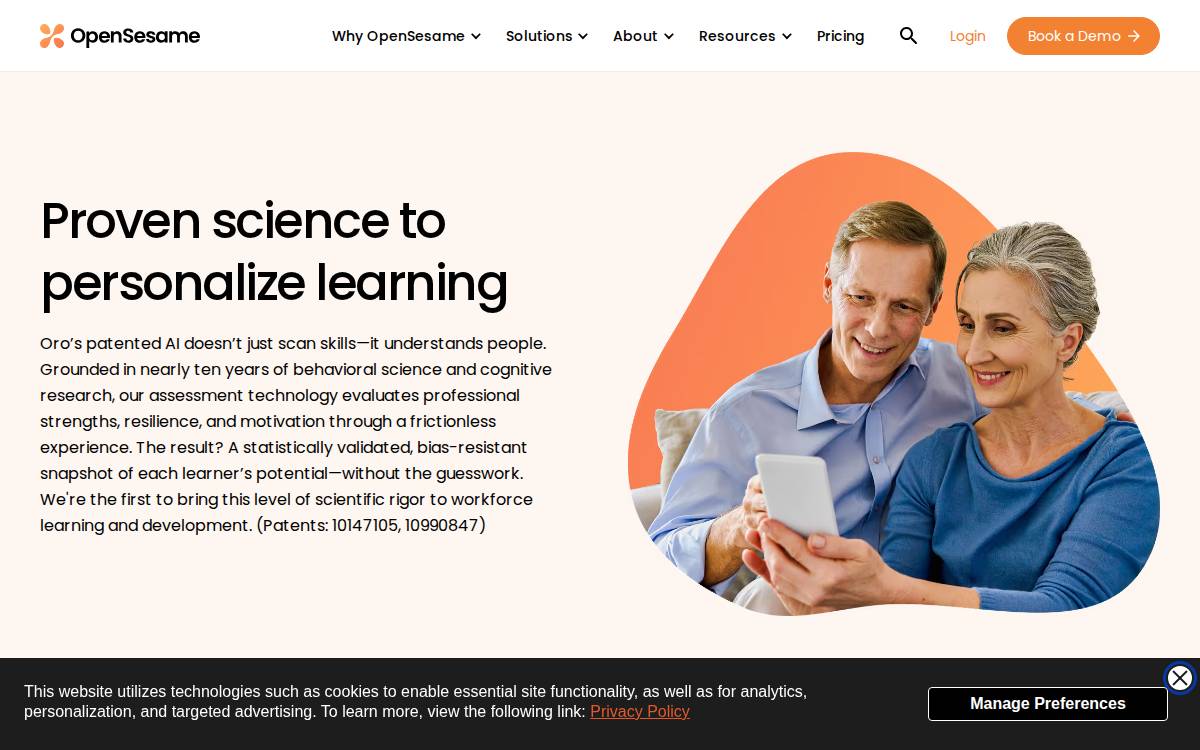 Dotin website preview