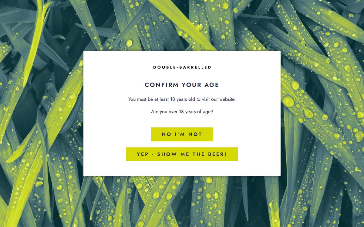 Double-Barrelled Brewery website preview