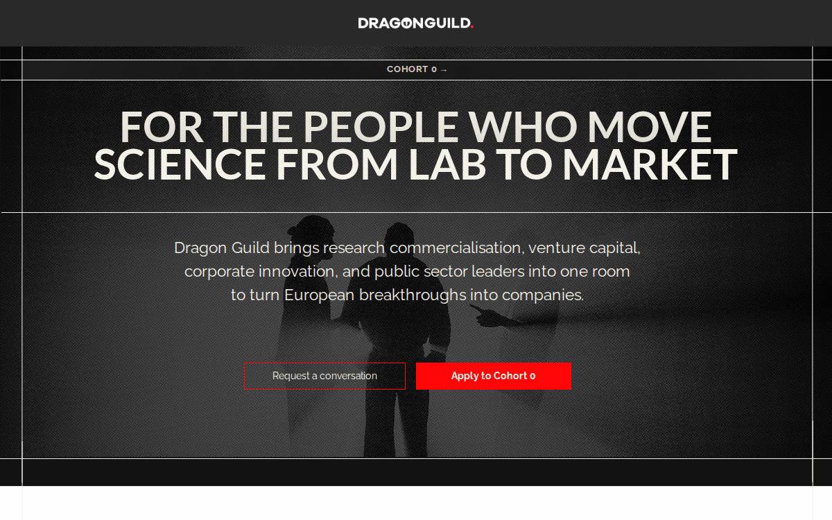 Dragon Guild website preview