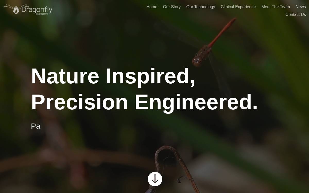 Dragonfly Endoscopy website preview