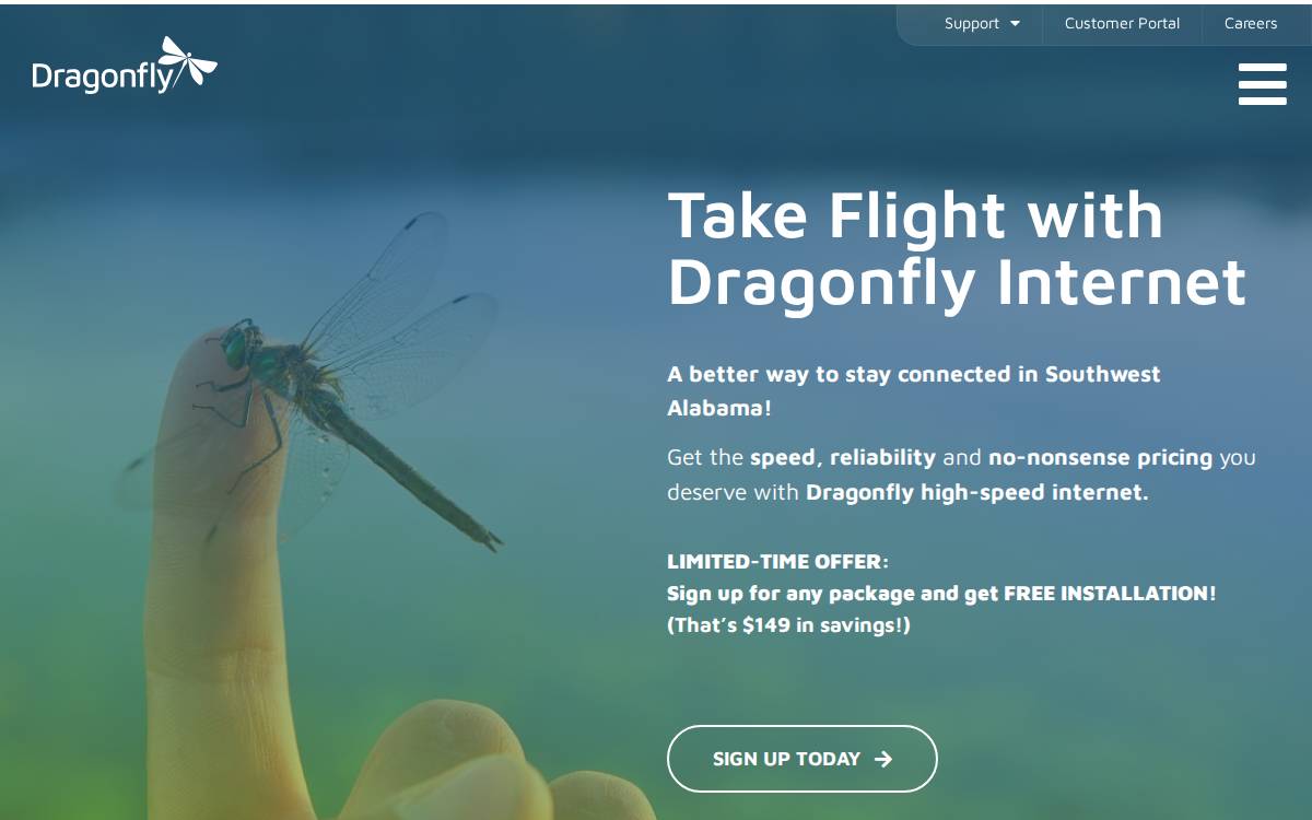 Dragonfly website preview