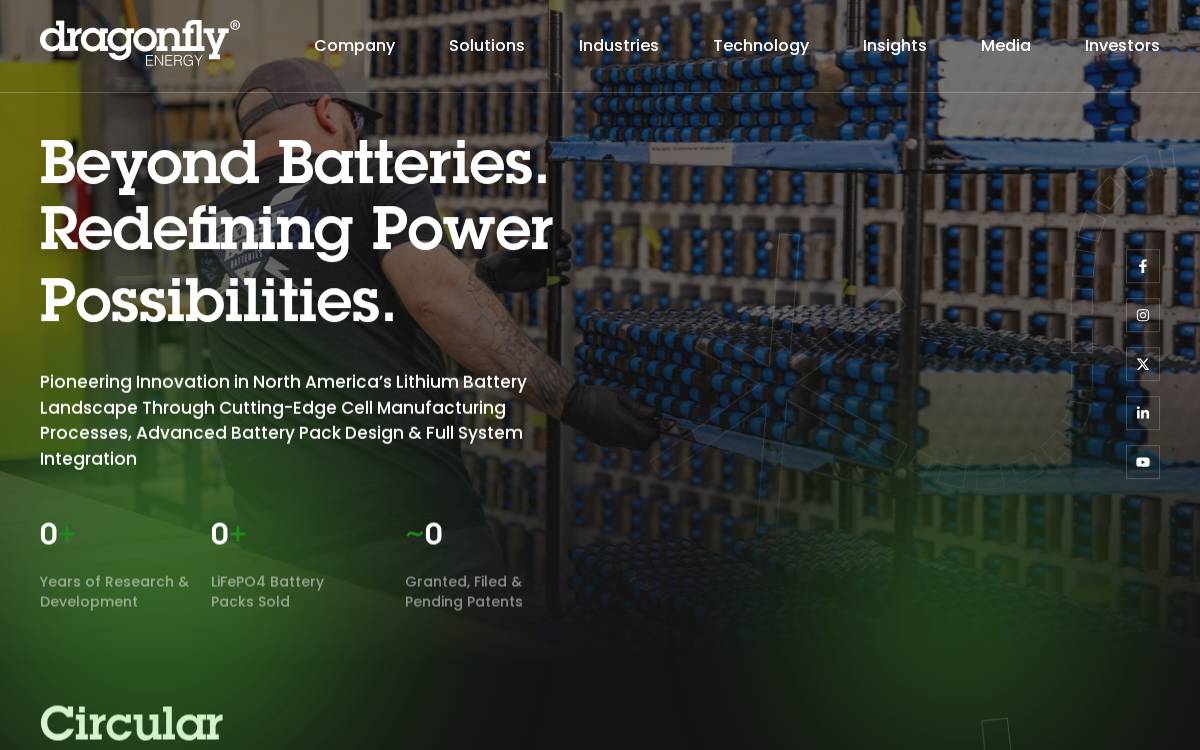 Dragonflyenergy website preview