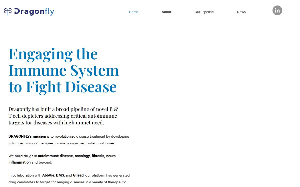 Dragonflytx website preview