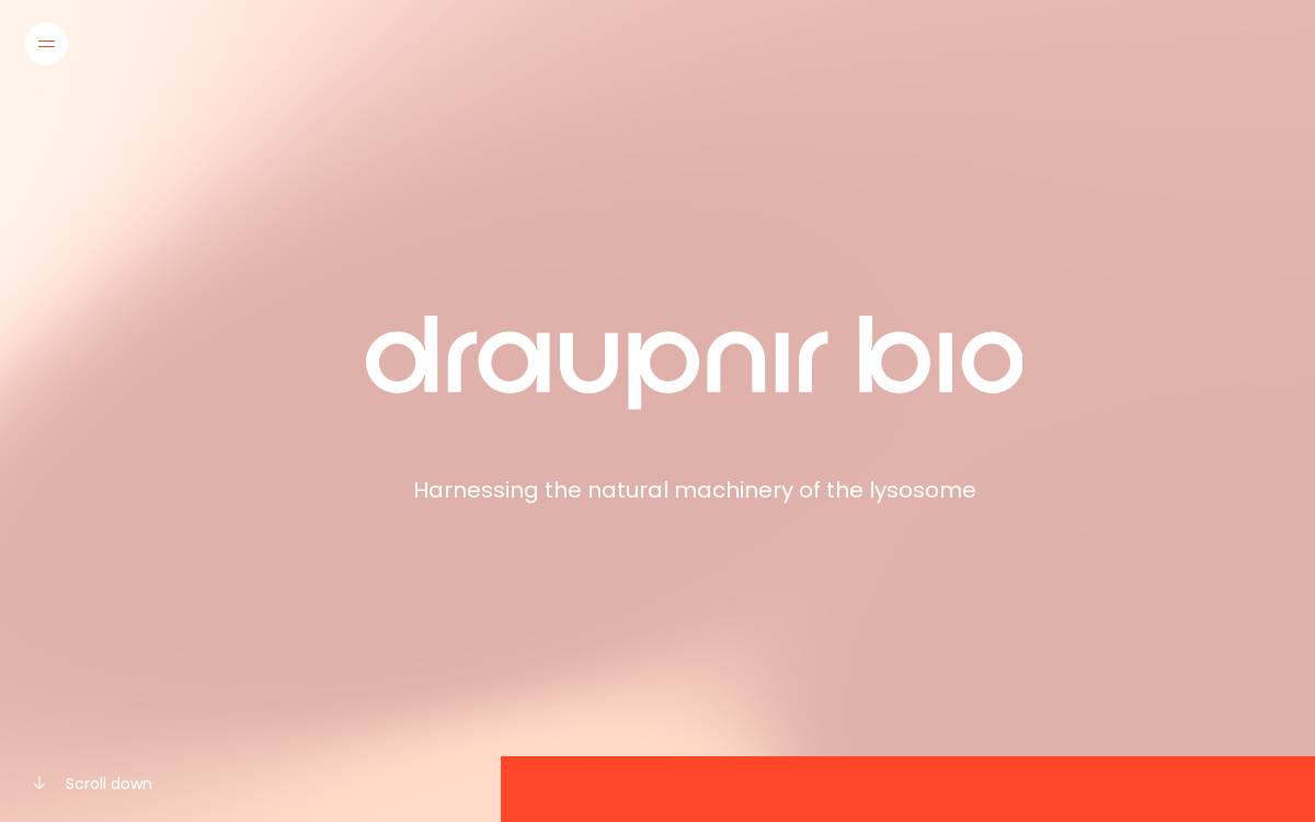 Draupnir website preview